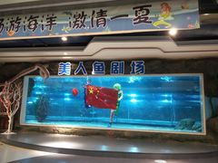 -绍兴梦享海洋公园