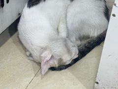 -玉椰林甜品店(创始店)