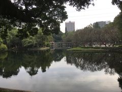 -晓港公园