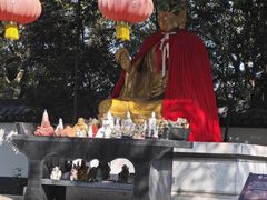 -上海佘山国家森林公园天马山园