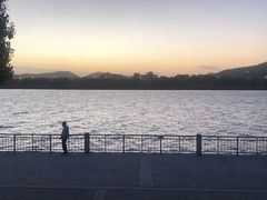 -云中鱼蒸汽石锅鱼(浦东食品城店)