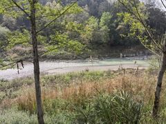 -唐崖土司城遗址