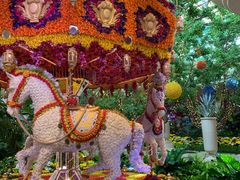 -拉斯维加斯永利酒店