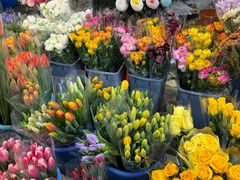 -循礼门鲜花花市(武汉循礼门店)