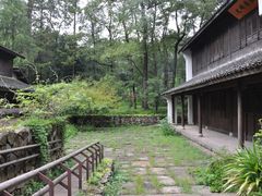 -杭州植物园