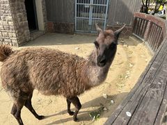 -苏州上方山国家森林公园