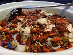 黑豆花水煮鱼-舞辣辣·川菜·黑豆花水煮鱼(卓悦汇店)