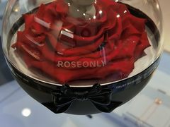 -ROSEONLY诺誓(广州K11店)