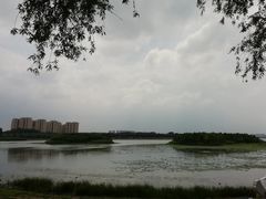 -丁香湖公园