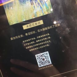 -香遇沙龙香水·调香·团建