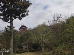 -吴山景区