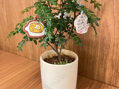 -CURRY YA 熟成咖哩專門店(深圳湾万象城店)