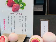 -中部国际机场
