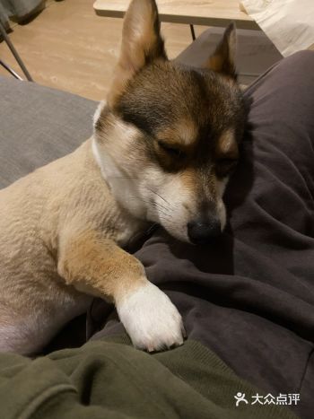 回来直接擦擦脚和背就行了！