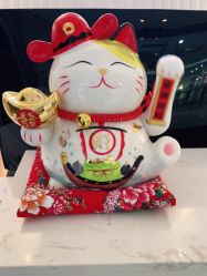 -紫颖·专业美胸·连锁养护中心