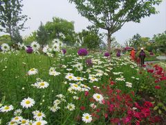 -上海植物园-4号门售票处