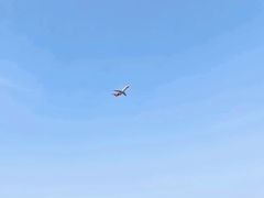 -空港花田景区