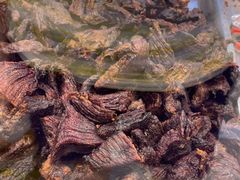 -都士牧人现烤牛肉干