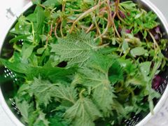 -黔府豆米火锅野菜馆(南马店)