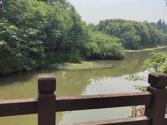 -南湖湿地公园