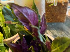 -慢丽江·云南野生菌土鸡锅(付家庄店)
