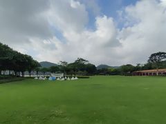 -顺峰山公园