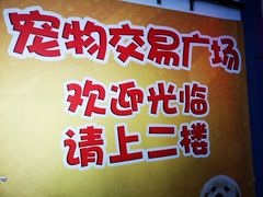 -山东柏宁水族批发广场