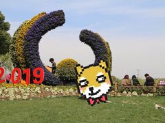 -昆山城市生态森林公园