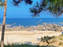 -巧克力渔家.小船海鲜胶东菜(万平口店)