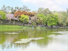 -麓湖高尔夫球俱乐部