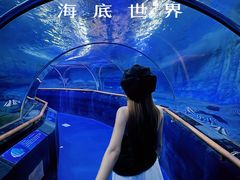 -厦门海底世界