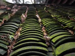-青城山