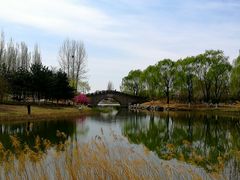 -大兴滨河森林公园