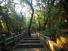 -灵岩山风景区