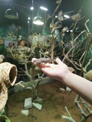 -Zoolung Zoolung动物主题公园(海信广场店)