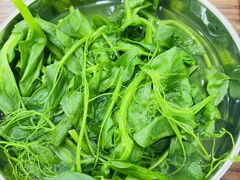 -攀枝花·任德琼·盐边羊肉米线