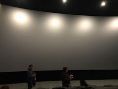 -汉阳天河电影城(王家湾店)