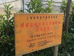 -前小桔亲子创意农场·草莓采摘·露营烧烤