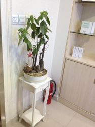 点击看大图 大堂-瓷肌博士·祛痘科技美肤