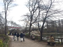 -井之头恩赐公园