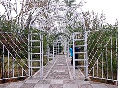 -济南植物园