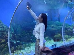 -顺德南宏海立方海洋公园