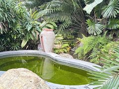 -汇雅温泉