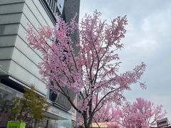 -首开·龙湖成都西宸天街