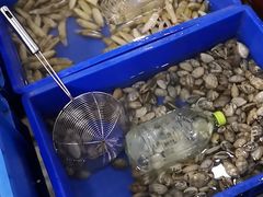 -象山小白象海鲜面