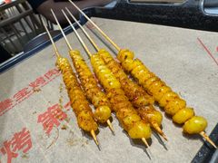 -叁宝烤肉• 西安烧烤 领跑品牌(高科新花园店)