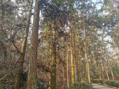 -冶父山国家森林公园