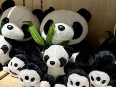 -海南热带野生动植物园