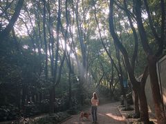 -杭州半山国家森林公园