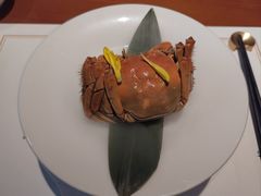 -觀芷隐轩
